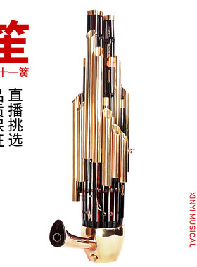新艺 精致加键扩音21簧笙乐器大全圆笙修笙工竽乐器笙包初学者