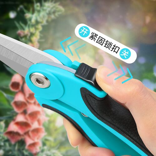 剪枝果树修枝剪刀园艺修剪树枝园林省力修花枝剪家用工具剪子神器