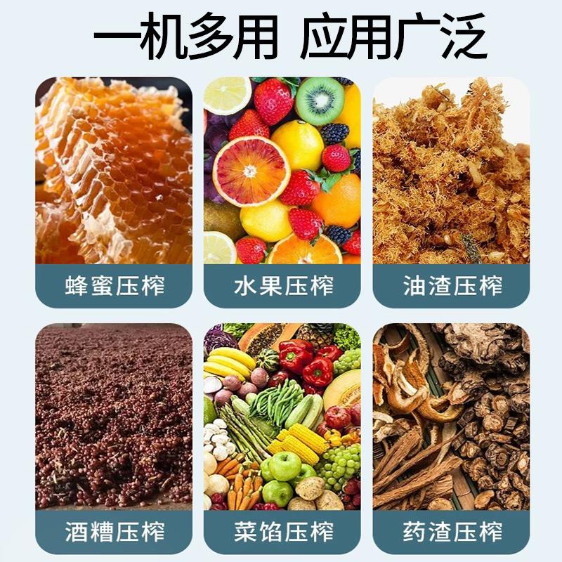 电动压榨机石榴榨汁机器压汁机挤压器压原汁商用油渣饼蜂蜜压榨机