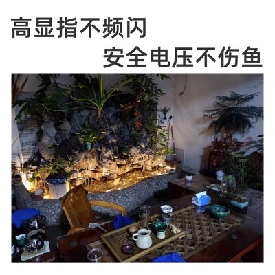 古法养鱼鱼缸低压防水led灯带水下专用泡水灯带自粘超亮软灯条24V