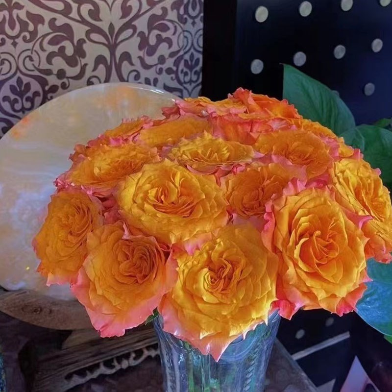 火灵鸟玫瑰鲜花喜庆热烈大波浪花型容易开炸花艺办公家庭花瓶插花