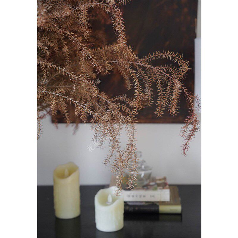 千层金干花花束干花诧寂风干花装饰摆件干花长枝千层金花瓶插花材