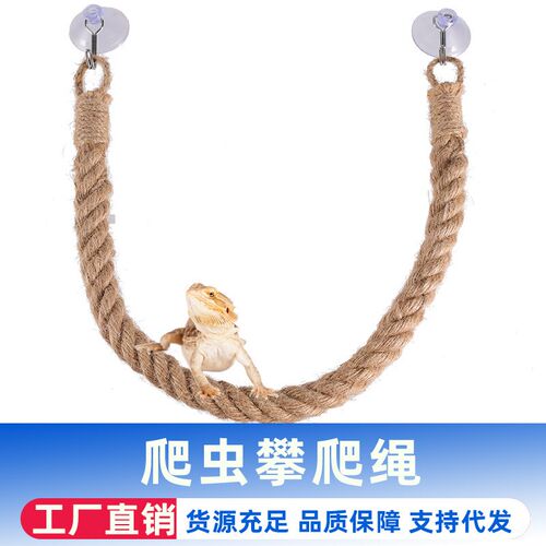 爬虫攀爬绳麻绳索道寄居蟹鬃师蜥爬宠麻线秋千吊桥爬宠箱造景藤蔓