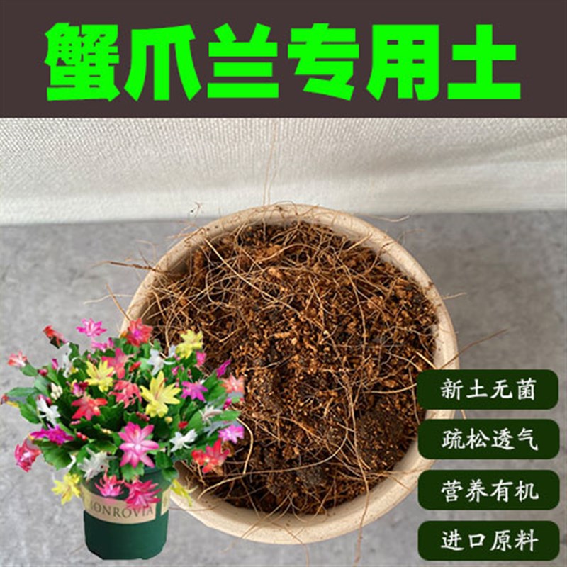 蟹爪兰专用土蟹爪兰土盆栽花卉营养土室内绿植酸性沙质泥炭土肥料图片