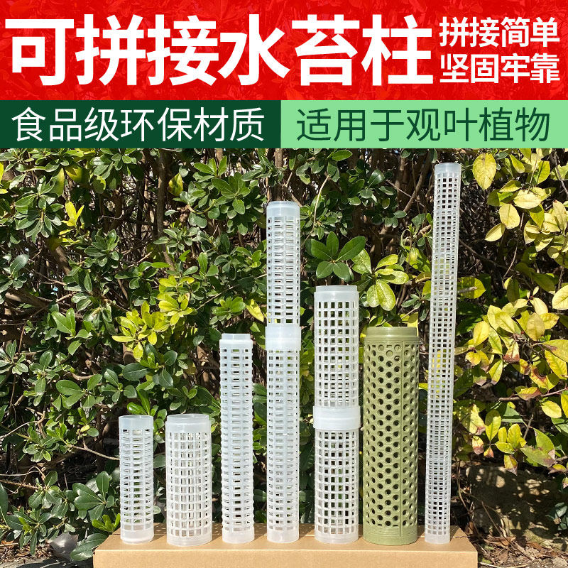 水苔柱可拼接爬藤植物攀附柱热植蔓绿绒绿萝龟背竹攀爬柱固定支架图片
