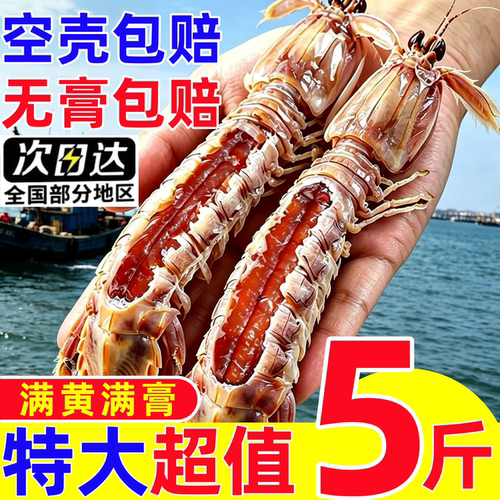 特大带籽全母皮皮虾冷冻即食