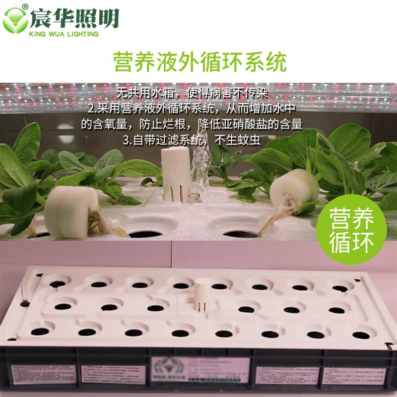 室内阳台水培种植机智能无土栽培箱有蔬菜种植机家用种菜神器补光