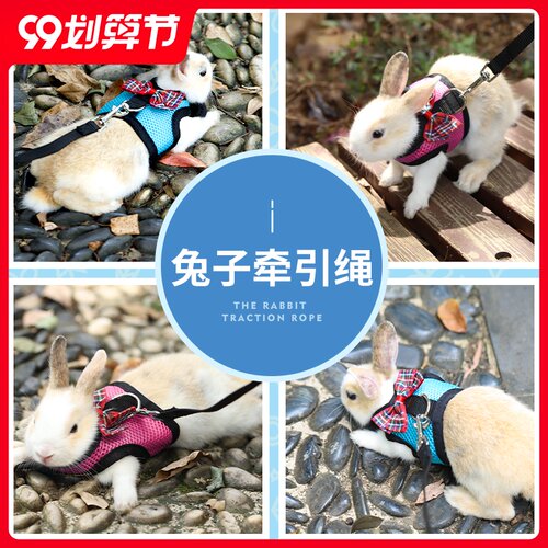 兔子牵引绳子溜兔绳链子遛兔绳小宠牵兔绳背心式垂耳兔兔用品衣服