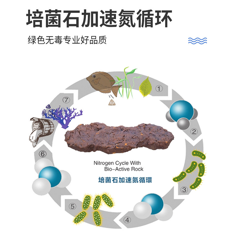 鱼缸悬浮磁吸造景石海水缸珊瑚断肢架托石有效净化水质培菌石消氨