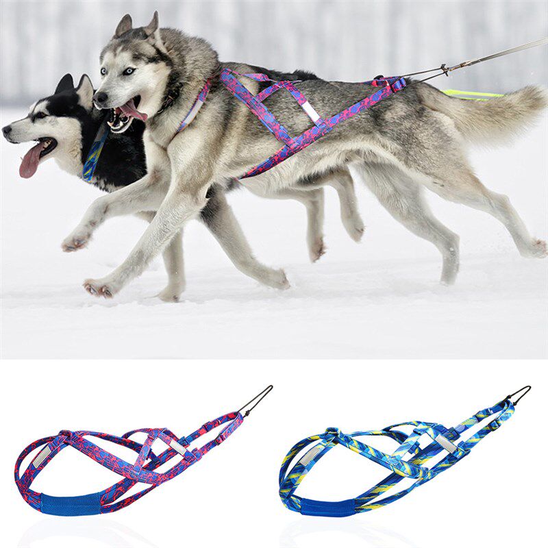 雪橇犬胸抱婴袋 哈士奇拉布拉多阿拉斯加车载宠物牵引绳户外拉雪