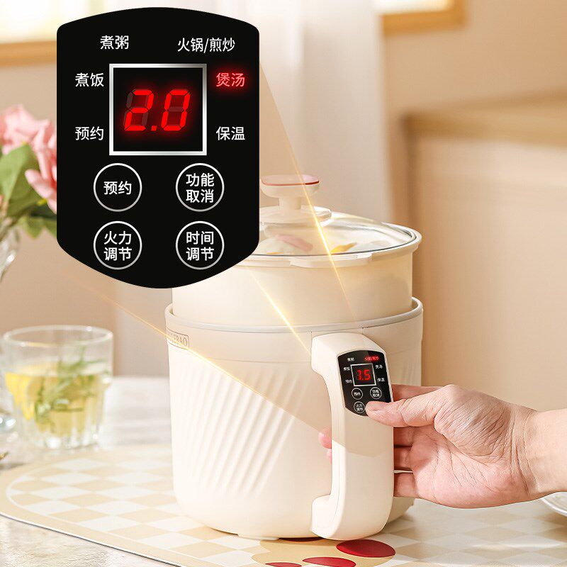 快速煮粥神器煲粥锅家用小型煲汤电炖锅多功能蒸煮一体宿舍煮面锅