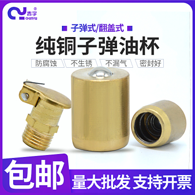 纯铜油杯铜弹子油杯翻盖油杯压弹簧油杯压注式油嘴铜油杯M6M8M10