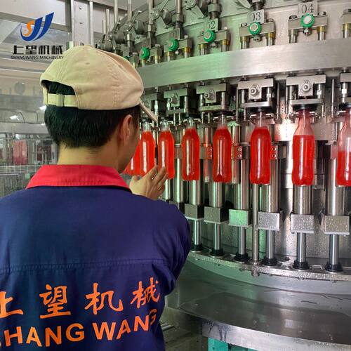 风味饮料生产线  全套果汁可乐加工设备beverage production line