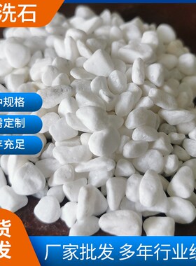 园林景观水洗石白卵石汉白玉水磨石白色鹅卵石景观铺路水洗白石子