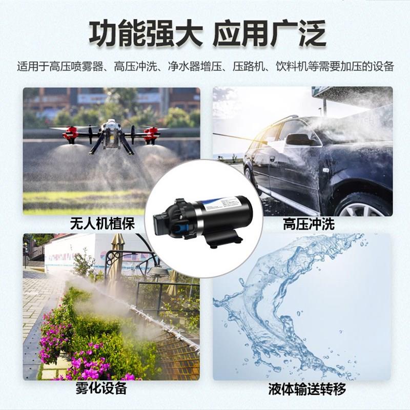 DP-160高压隔膜水泵12V24V直流净水器增压泵洗车喷雾冲洗自吸水泵