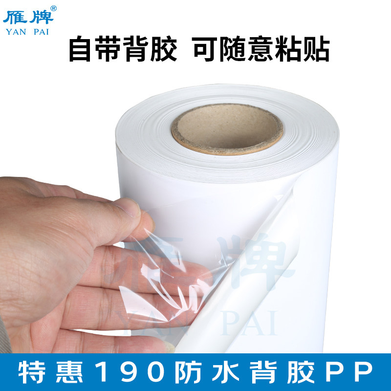 雁牌特惠190克防水背胶PP打印纸610装饰画工厂PP背胶打印纸50米长