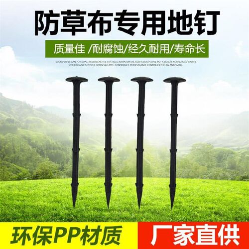 塑料地布钉钉子加粗工程农地膜加长底布大棚温室拉枝钉草地农用