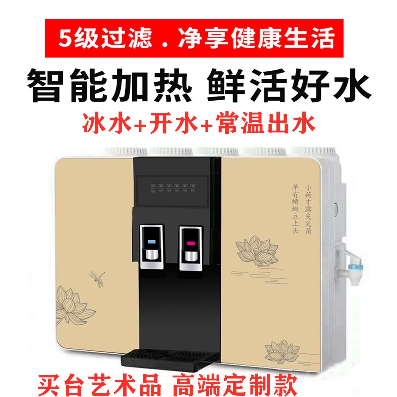 净水器加热一体机家用直饮壁挂饮水过滤自来厨房RO反渗透净化水