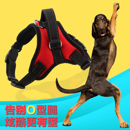 狗狗新款比特杜高卡斯罗恶霸中大型犬防水材质牵引绳猛犬遛狗绳