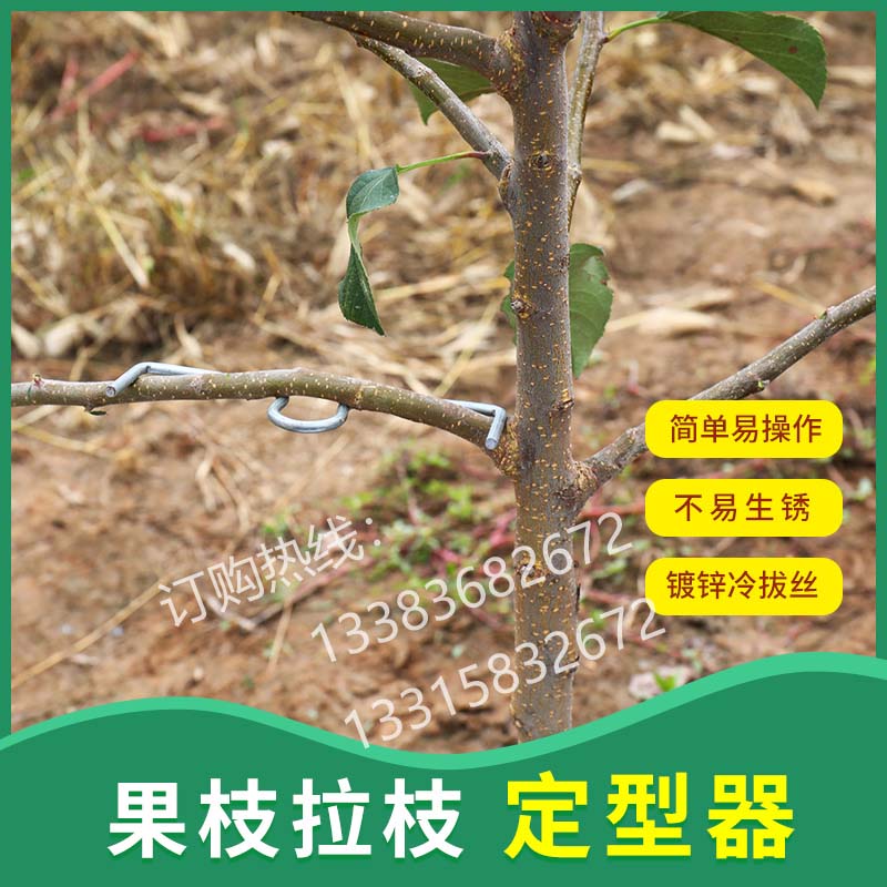 永德助果树拉枝神器定型器通用M型别枝器S扣开角器压枝弯枝夹包邮