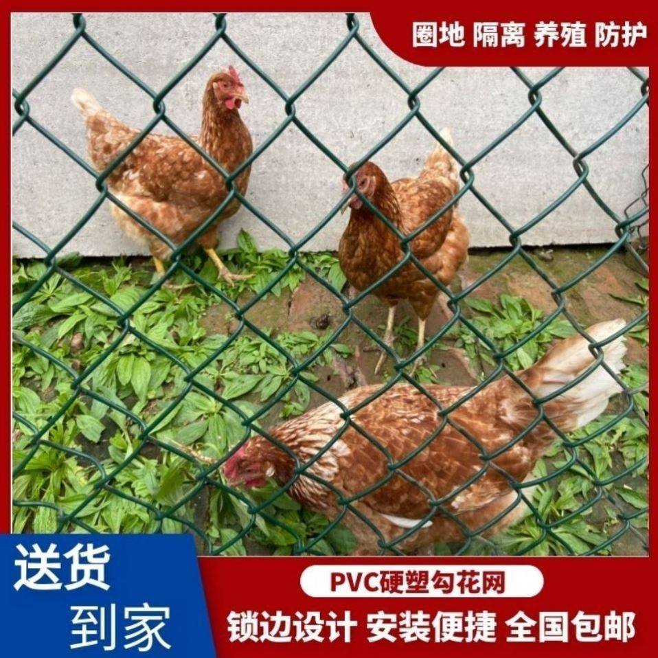 PVC包塑勾花铁丝钢丝围栏网球场护栏网动物园果园防撞防护围墙网