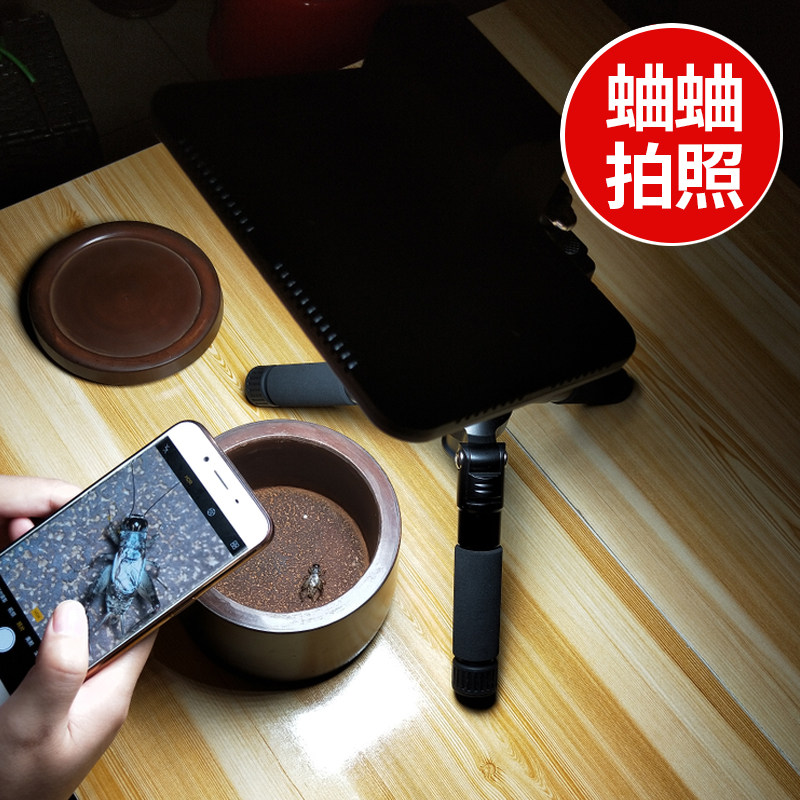 蟋蟀补光灯蛐蛐拍照补光LED灯两用夜市收虫看虫网售鸣虫用品用具
