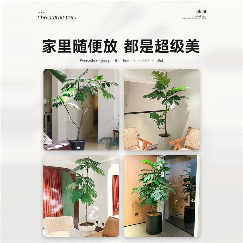 网红面包树盆栽客厅落地大号大型绿植物花盆真树办公室内好养禄植