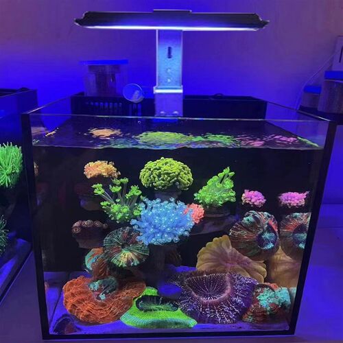 坦森海缸背滤全套 专业背滤海水缸 海水缸珊瑚缸设备 办公桌面小