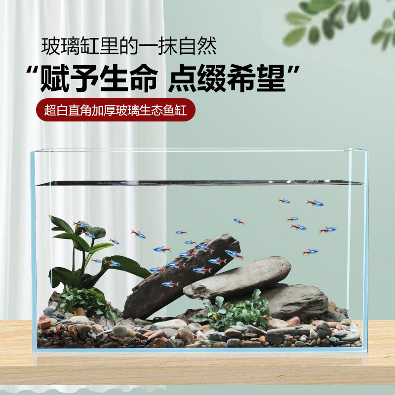 超白鱼缸客厅小型桌面生态溪流造景真水草玻璃懒人养鱼金鱼乌龟缸