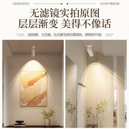 彩虹小山丘玄关射灯入户客厅过道走廊壁画明装led氛围防眩筒灯