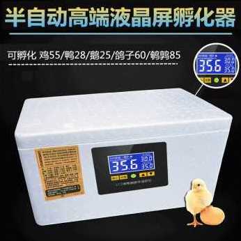 厂促新品智能孵化器小型家用孵化机全w自动智能鸡鸭鹅鸽蛋保温品