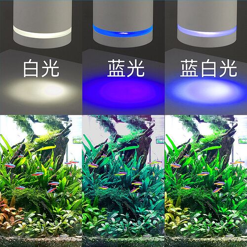 筒灯水陆缸专业水草小型吊灯COB灯珠三变色草缸灯