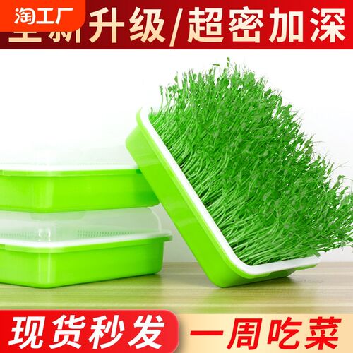 豆芽发芽盆无土栽培蔬菜水培豌豆苗设备种植架托家用芽苗菜育苗盘