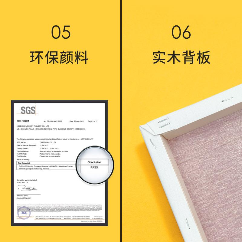 自油自画 数字油画diy客厅沙发手绘手工填色涂色油彩画郁金香之夏