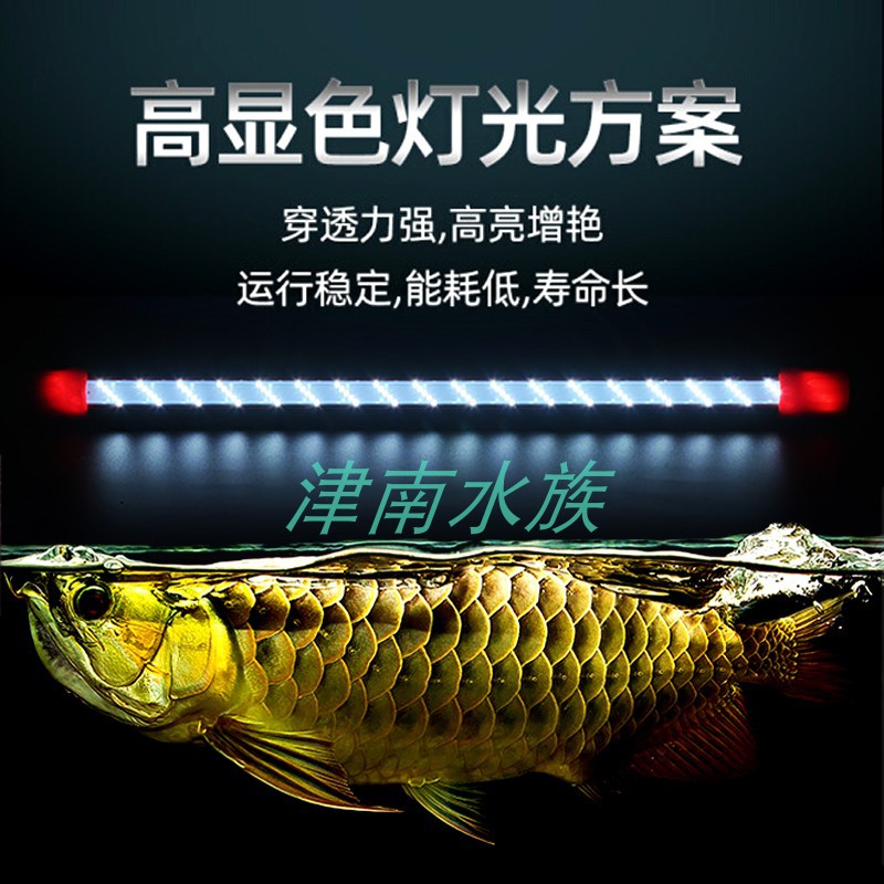 NO.1LED潜水灯三基色增艳龙鱼蝴蝶锦鲤高亮白变色水族鱼缸灯包邮