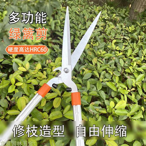 园艺大剪刀绿篱剪草坪修剪园林绿化造型剪修枝剪伸缩大花剪冬青剪