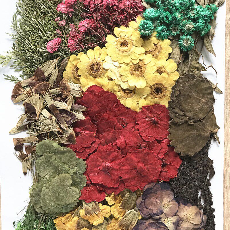 压花花材包260朵 押花花材包 押花材料 滴胶乾燥花DIY手工一件包