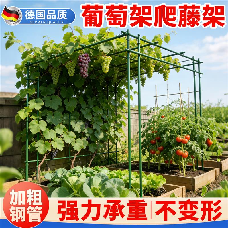 包塑钢管葡萄架百香果丝瓜攀爬架 户外庭院花架支撑架