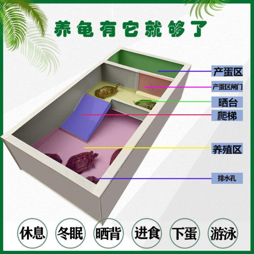 乌龟生态缸晒台 家用PP板龟箱 塑料大型养龟箱 带排水龟池