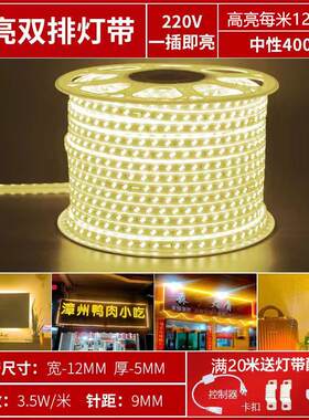 哈尔滨LED灯带高压220v紫光蓝光金黄色白光绿光红光低压防水三色