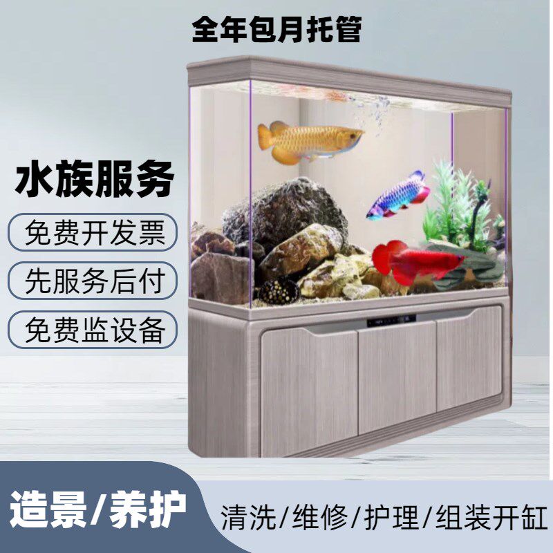 上门鱼缸清洗与溪流造景维护 更换鱼缸过滤材料 订制鱼缸保养方案