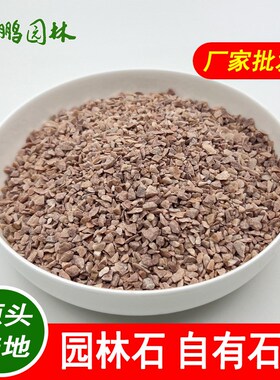 机制红色石 白石子水磨石地面用 水洗石洗米石园林绿化用红色石子