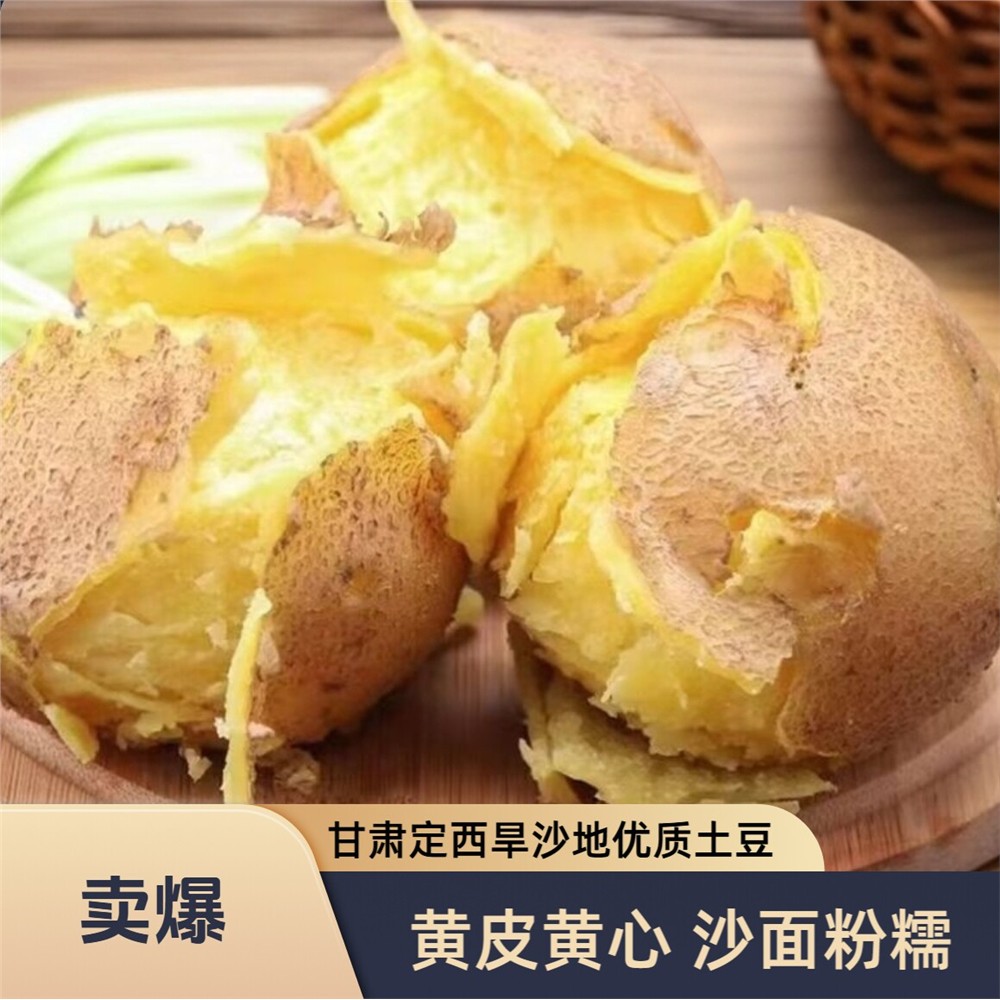 正宗定西高山新鲜土豆