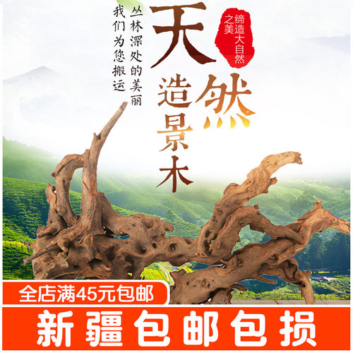 水草杜鹃根天然沉木珊瑚木紫柚木莫斯树鱼缸草缸造景装饰乌龟晒台