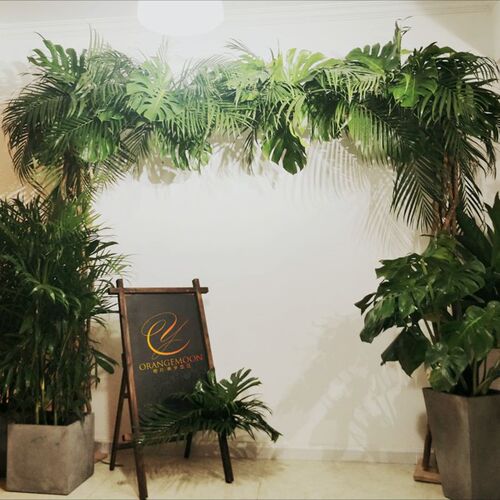 多木原木拱门开业婚庆橱窗场景背景花架展架木架子花艺装饰道具