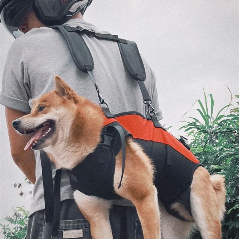 2026新宠物背包双肩狗包中型犬四角包柯基柴犬包骑车爬楼法斗边牧