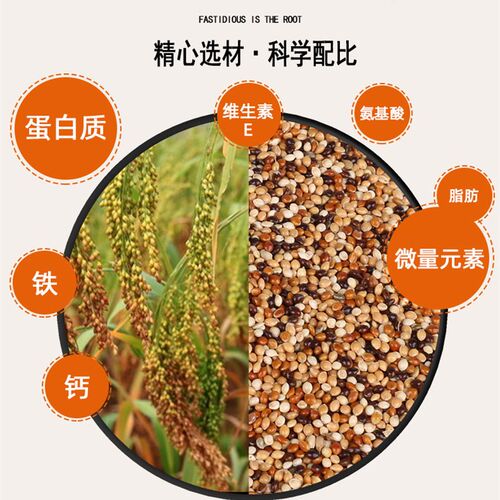 鹦鹉饲料鸟粮虎皮牡丹玄凤中小型鹦鹉鸟食五色黍子混合粮谷子5斤