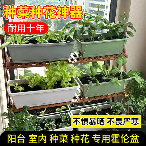 长方形花盆花箱塑料种植箱家庭阳台户外加厚种菜箱种花神器抗老化