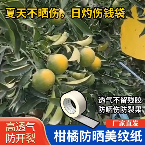 高粘柑橘防晒贴纸 水果防太阳果贴 粑粑柑防晒伤日灼遮阳袋美纹纸