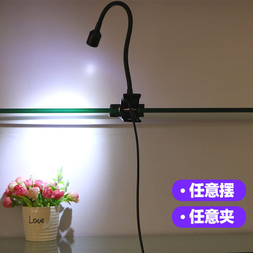 夹子灯插电夹式护眼家用超亮迷你床头鱼缸射灯阅读软管led学习灯